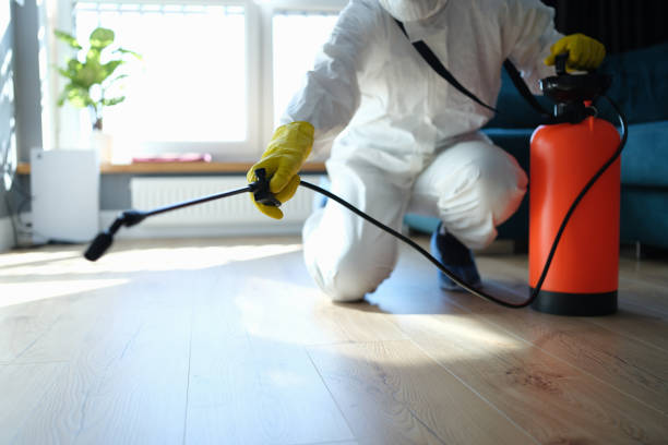 Trusted Trauma Scene Cleanup service in Johannesburg, CA - Four Month Blood Cleanse